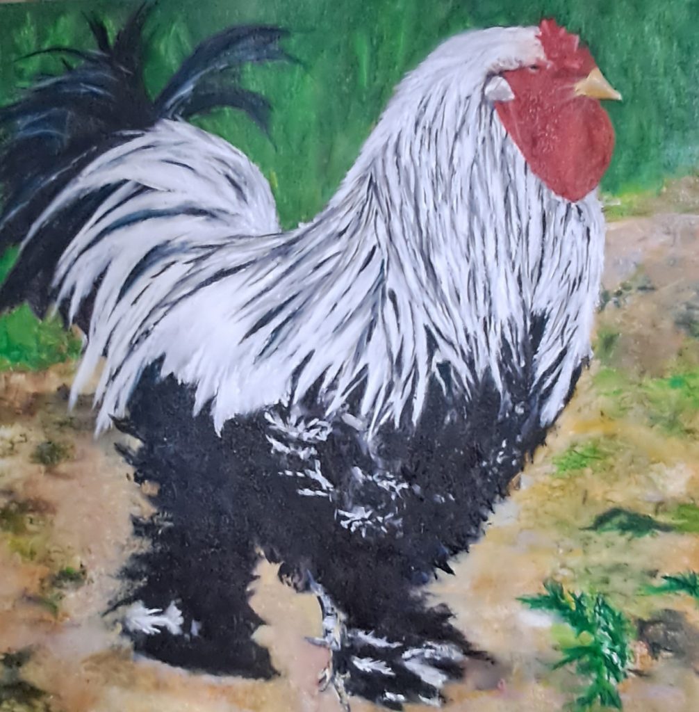 Chicken a la King